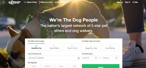 make money as a pet sitter